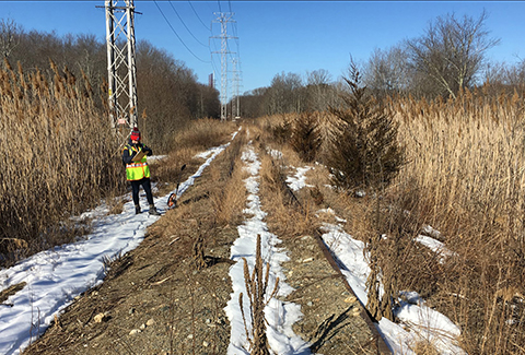  Land surveyor in the field for electrical project.