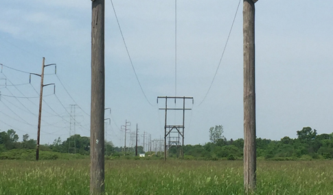 Transmission lines spanning across a rural landscape with green fields and scattered trees, under a clear sky.