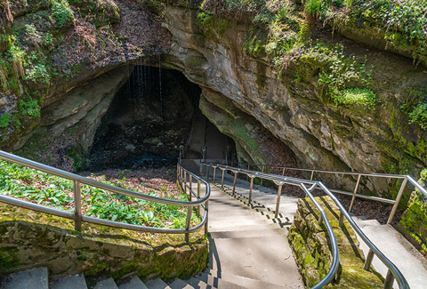 A trail leads down inside Mammoth Caves.