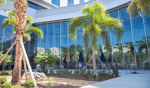 People sitting at an outdoor dining area at a hospital