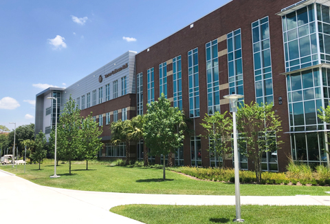 Green trees line the front of Trevor Colbourn Hall.