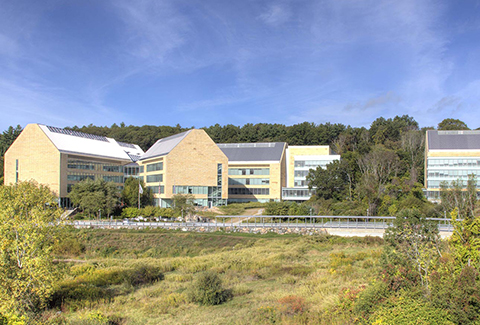 Astra-Zeneca’s multi-building campus is backed by natural woodlands.