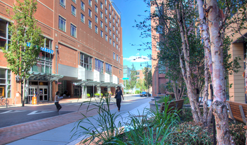 People walk along the sidewalk plantings next to Takeda’s facility at 300 Massachusetts Avenue in Cambridge.