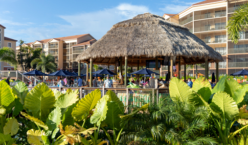 A thatched hut cabana surrounded by green palm leaves.