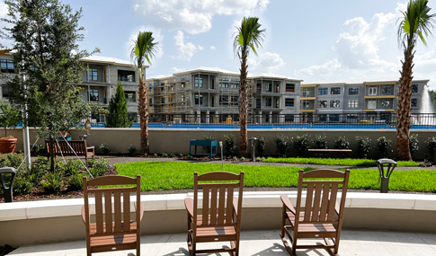 Three wooden chairs face a walking path lined with palm trees.