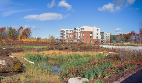 Public art, walking paths, and stormwater ponds lead to South Burlington’s Downtown