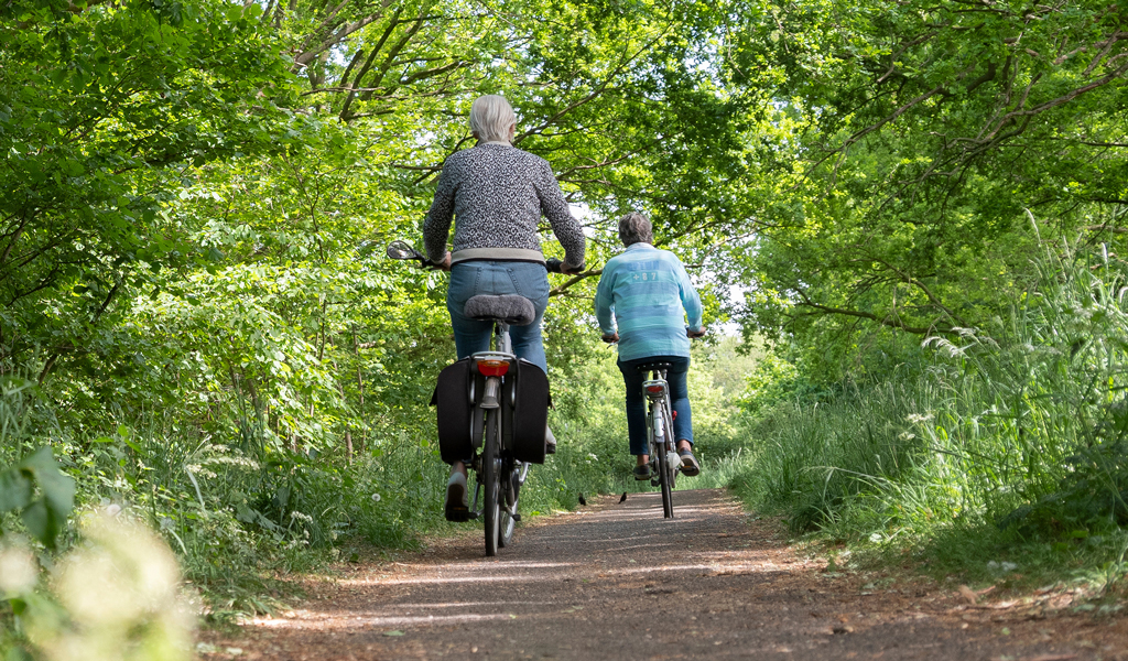 Two bike riders on a rural bike path with trees and greenery.