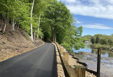 A road with trees along the side of it.