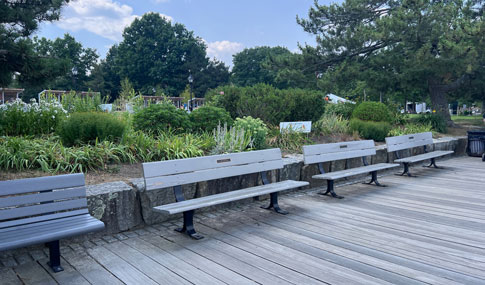 Benches with greenery behind.