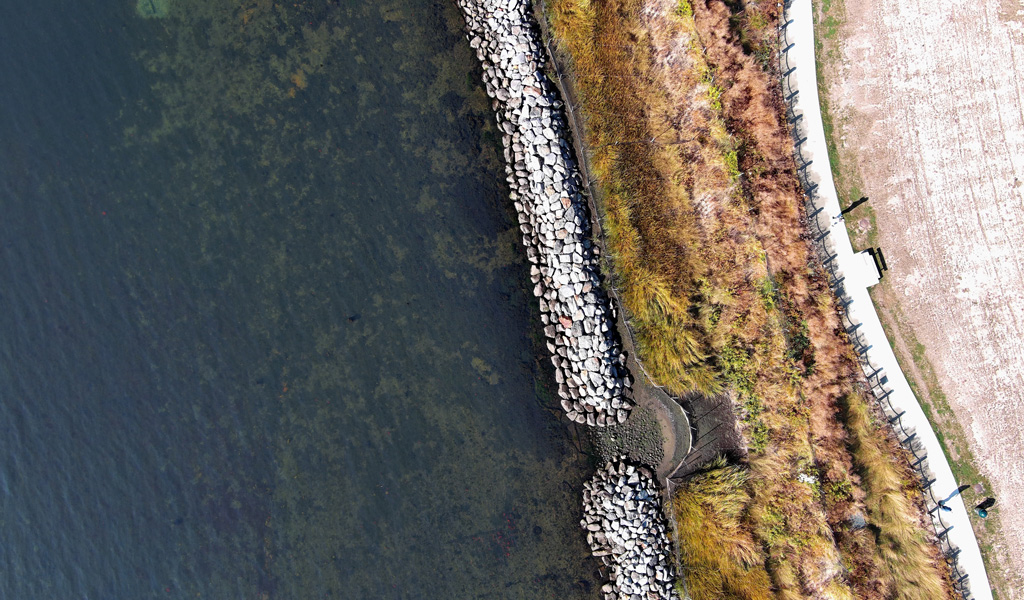 Aeriel view of playground at Shorefront Park, surrounded by green space and walking paths near the shoreline.