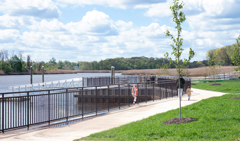 A winding path in a park alongside a body of water.