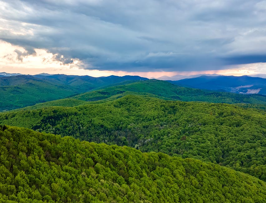 Lush, tree-filled mountains with a blue sky.