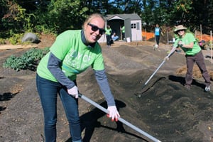 VHB team members work in a garden