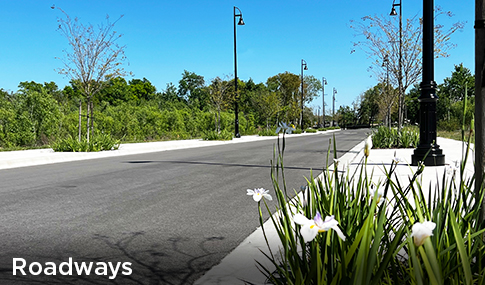 A paved street with flowering plants and sidewalk bordering it