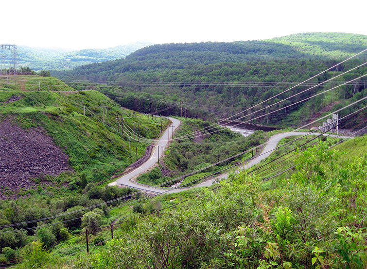 Electrical wires spanning a verdant gulley.