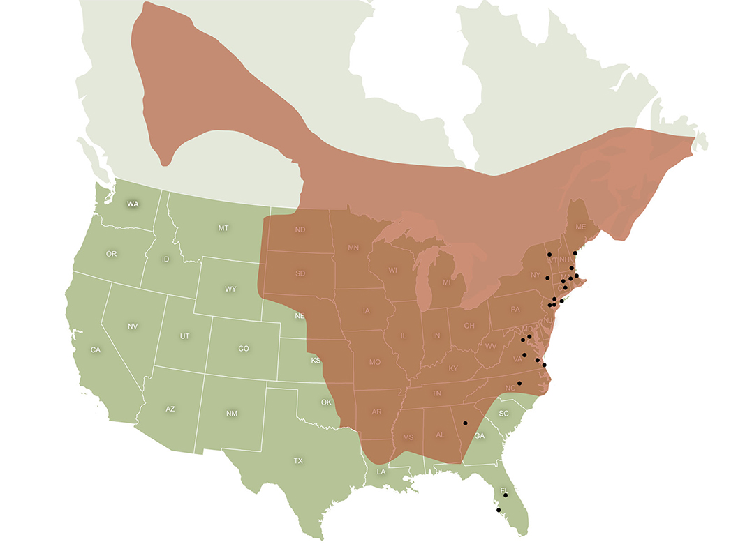 Range of the northern long-eared bat in relation to VHB locations.