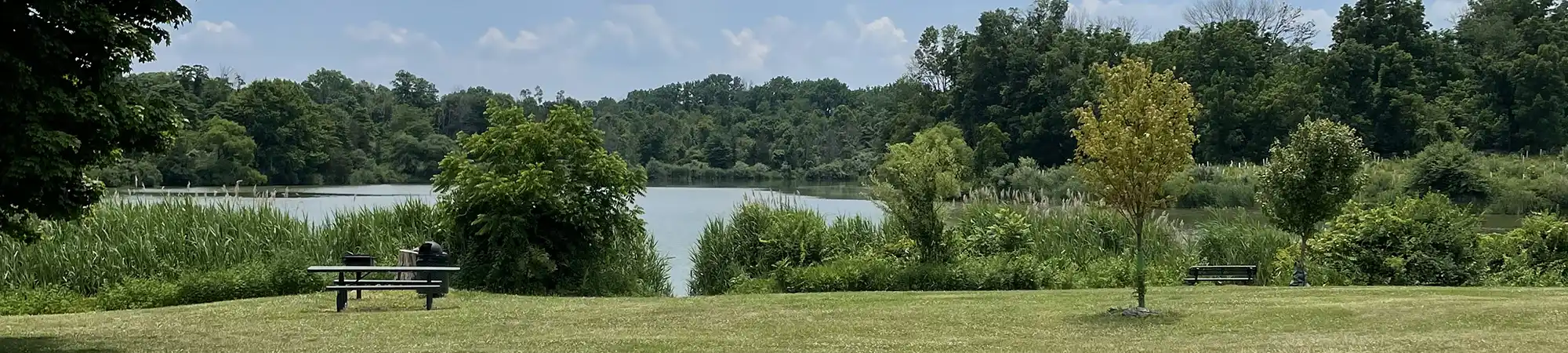 Park with benches with lake in background