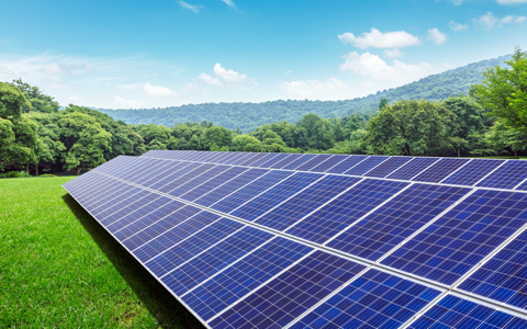 Solar panels and mountains in green grass field.