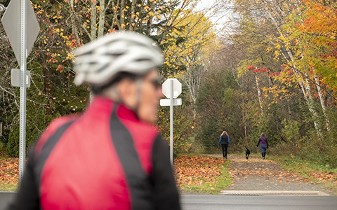 A biker on the Lamoille Valley Rail Trail with two pedestrians walking a dog in the background.