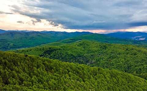 Rolling green mountains and blue skies.