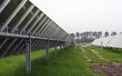 A row of solar panels in a rural field with trees in the background.