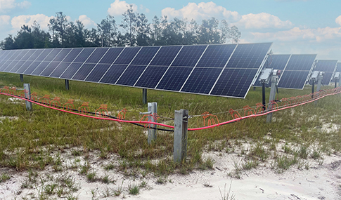 Solar panels in a field.