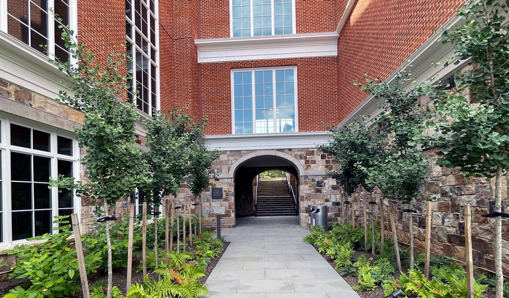 A sidewalk lined with ferns and ginkgo trees leads to an entrance at The Forum Hotel.