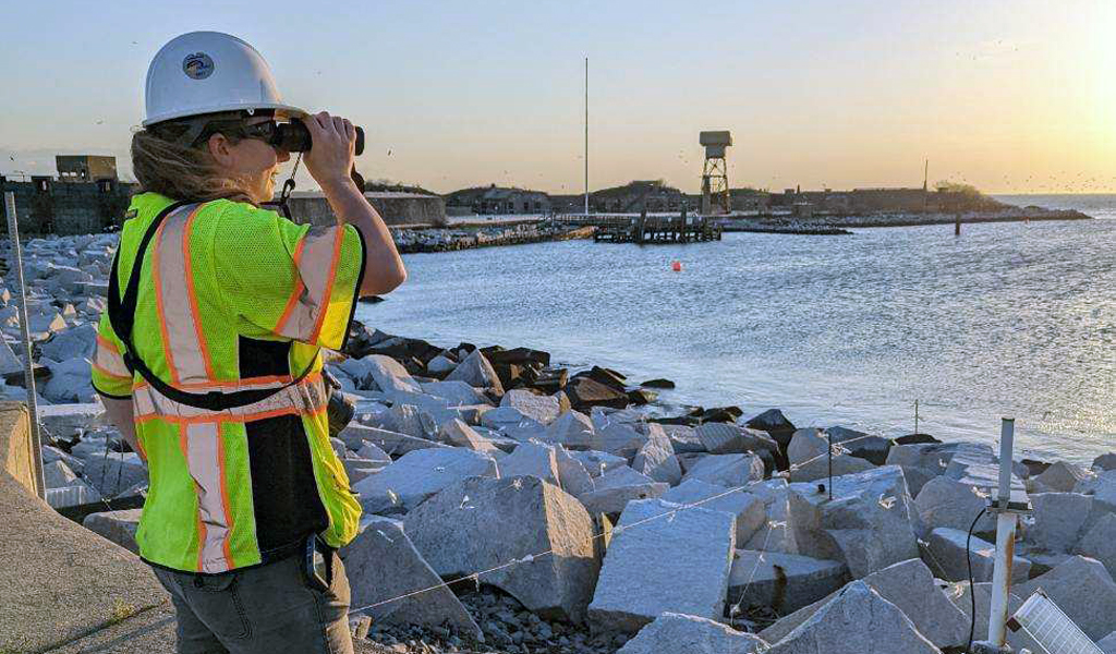 Anna Weaver performs bird monitoring duties during an evening site visit on South Island. 