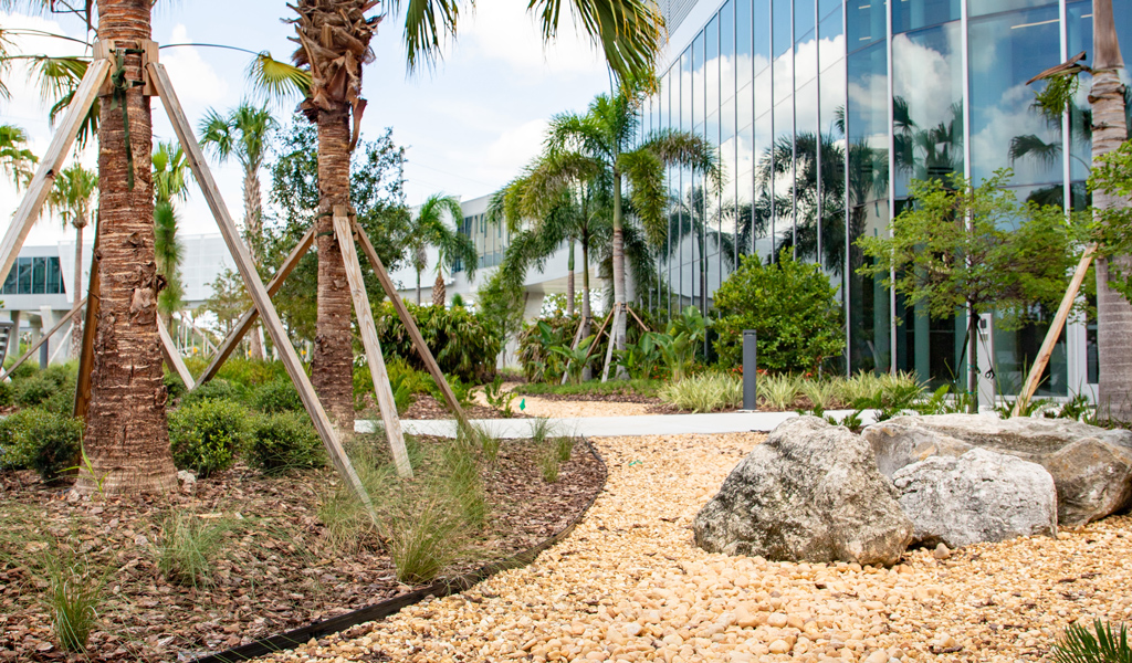 A pebble-strewn path meanders outside a new hospital