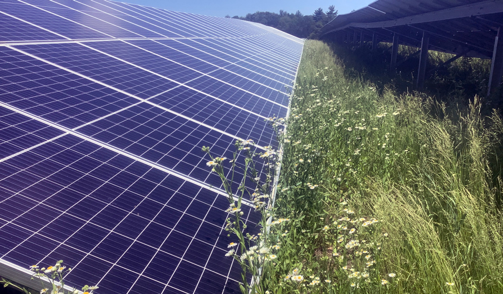 Close up of solar panels in a field.