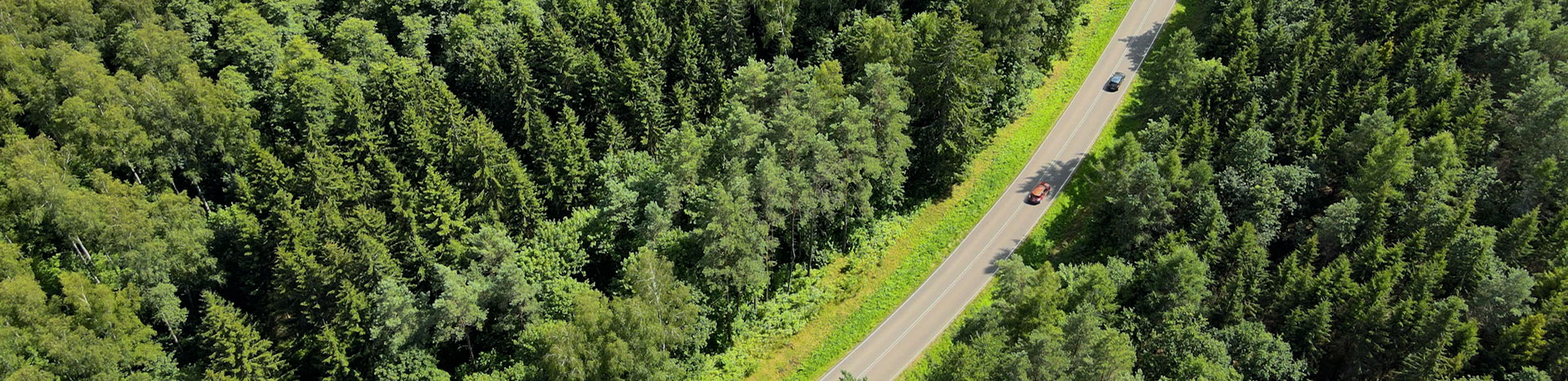 A two-lane road surrounded by trees on both sides.