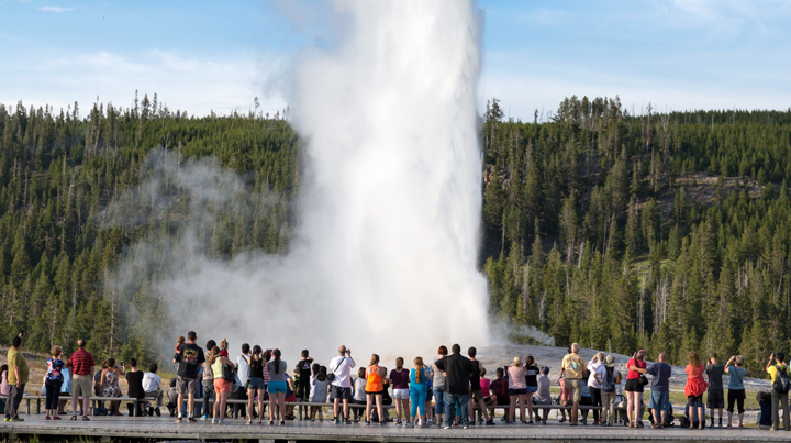 Crowds in front of old faithful in Yellowstone National Park. 